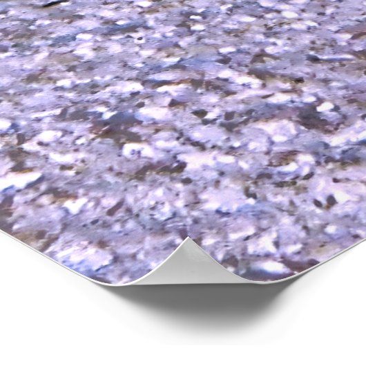 Poster Décoré Dart Goby (Coin)