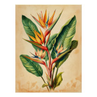 Découpage de l'oiseau vintage du paradis