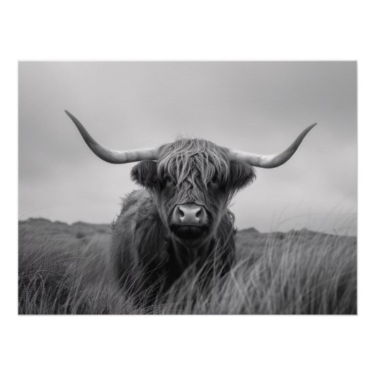 Poster Découpage noir et blanc de la vache Highland (Devant)