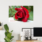 Poster Découpage sur une rose rouge - Sélectionnez votre  (Bureau à domicile)