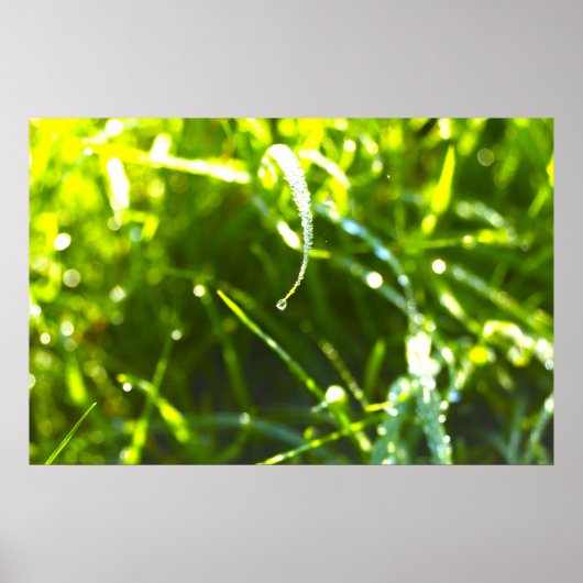 Poster Découpe (Devant)