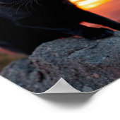 Poster Découpure de chat noir au coucher du soleil sur to (Coin)