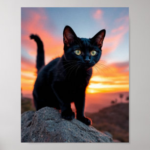 Poster Découpure de chat noir au coucher du soleil sur to