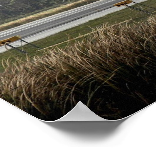 Poster Découverte de la navette spatiale (STS-119) (Coin)