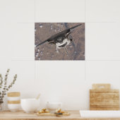 Poster Découverte de la navette spatiale (STS-121) (Cuisine)