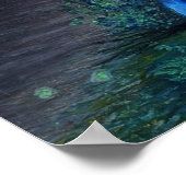 Poster Découverte de lucioles (Coin)