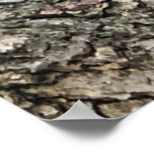 Poster d'écureuil (Coin)