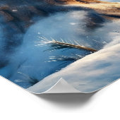 Poster d'écureuil d'hiver (Coin)