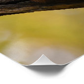 Poster d'écureuil photogénique (Coin)