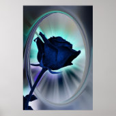 Poster Deep blue rose (Devant)