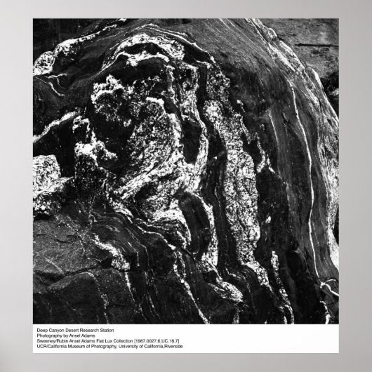 Poster Deep Canyon Desert Research Station par Ansel Adam (Devant)