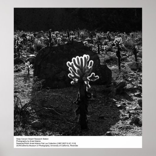 Poster Deep Canyon Desert Research Station par Ansel Adam (Devant)