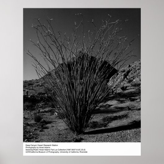 Poster Deep Canyon Desert Research Station par Ansel Adam (Devant)