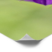 Poster "Deep Purple" Vénus En Verre (Coin)