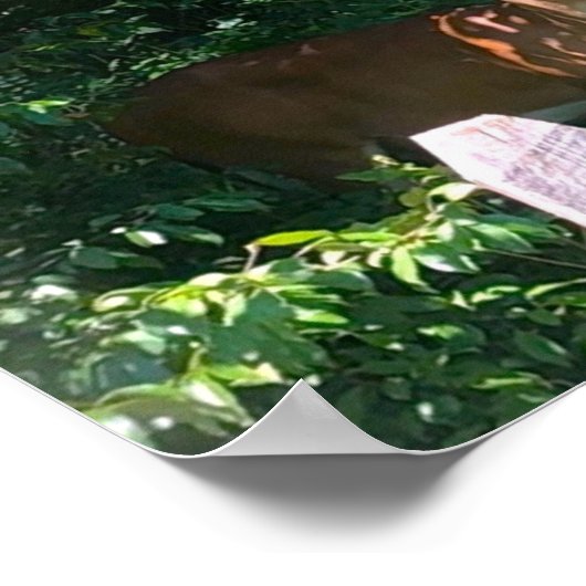 Poster Deer, (Coin)
