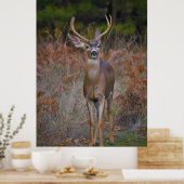 Poster Deer 3- Tu me reproches ! (Cuisine)