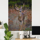 Poster Deer 3- Tu me reproches ! (Bureau à domicile)