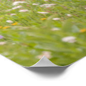 Poster Deer Buck | Parc national du Mont Rainier (Coin)