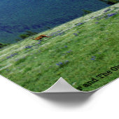 Poster Deer et les Jeux Olympiques (Coin)