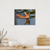 Poster Deer Fawn | Minnesota (Cuisine)