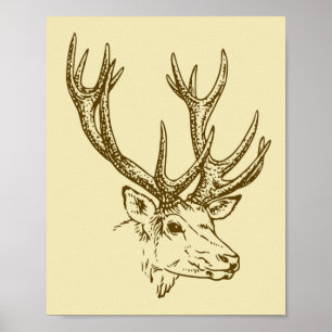 Poster Deer Head Illustration Graphic