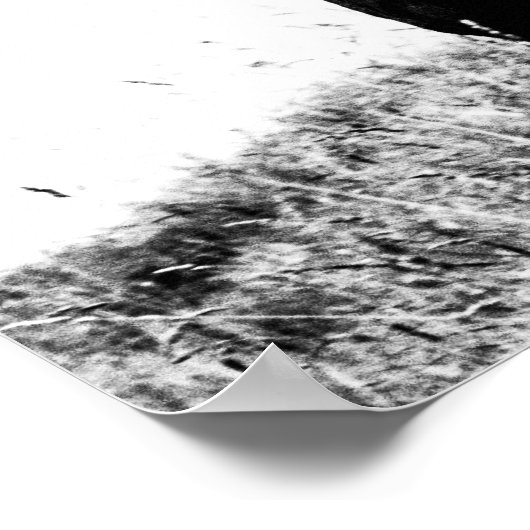 Poster Deer in heat (Coin)