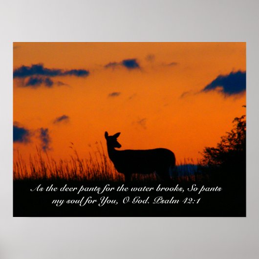 Poster Deer Sunset (Devant)