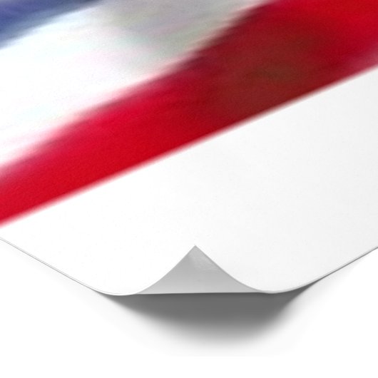 Poster Défense nationale (Coin)