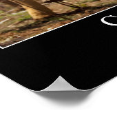 Poster Défi : Citation Inspirationnelle 2 (Coin)