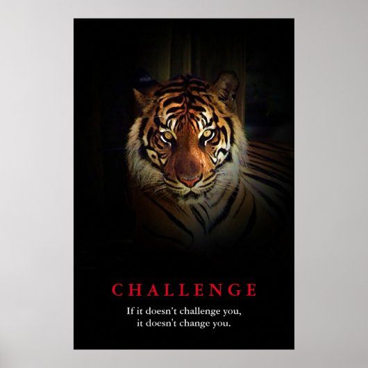 Poster Défi de motivation du tigre (Devant)