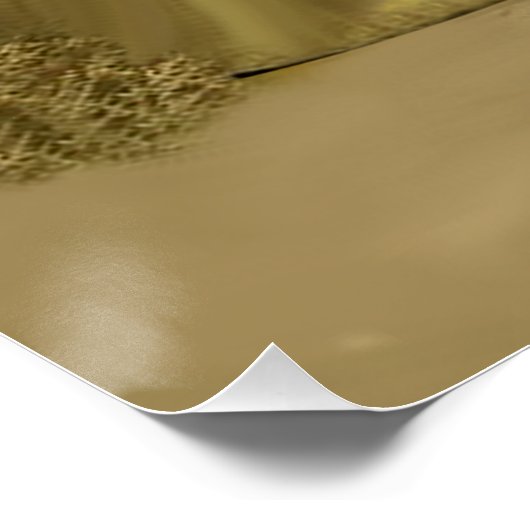 POSTER DÉFI WILD WEST (Coin)