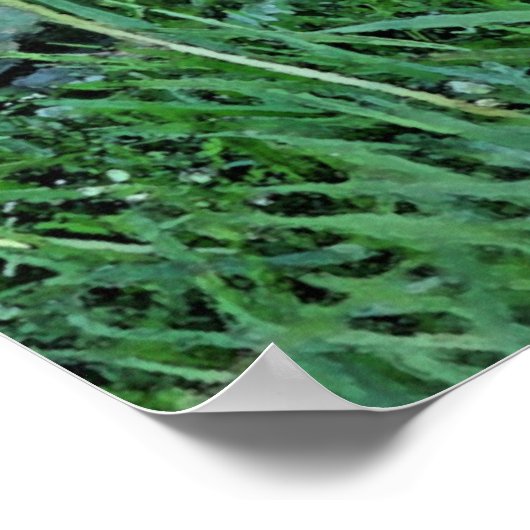 Poster Défilé de canards (Coin)