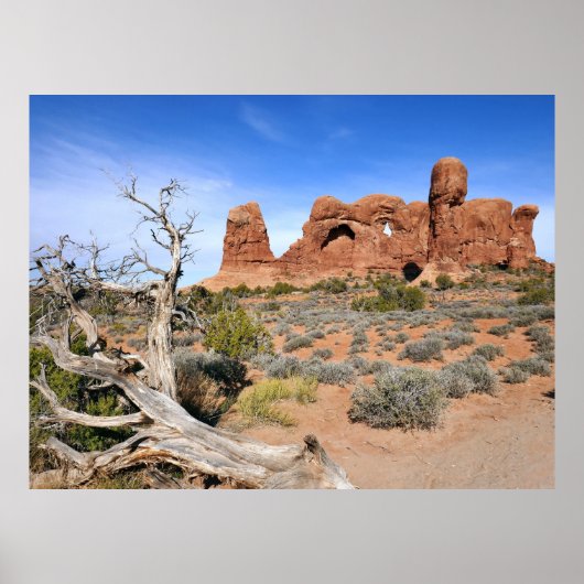 Poster Défilé d'éléphants à Arches National Park (Devant)