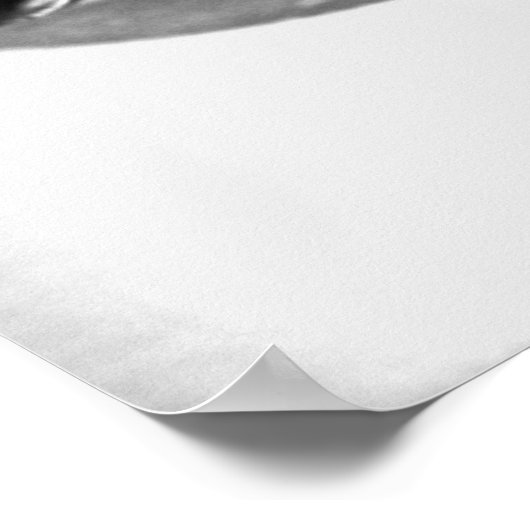 Poster Défilement de violon (Coin)