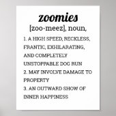 POSTER DÉFINITION DES ZOOMIES (Devant)