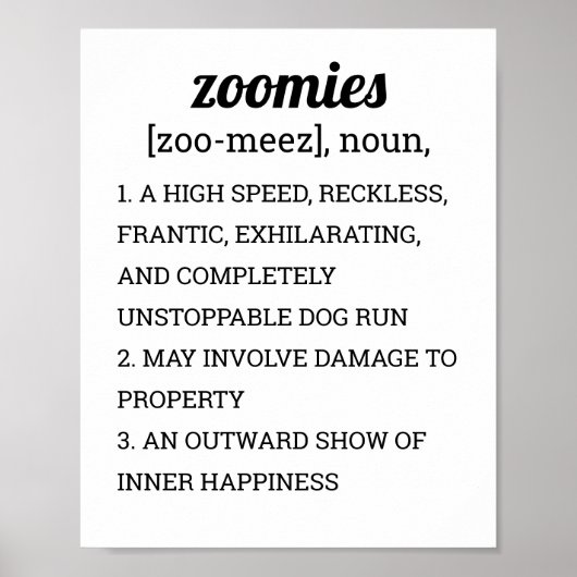 POSTER DÉFINITION DES ZOOMIES (Devant)