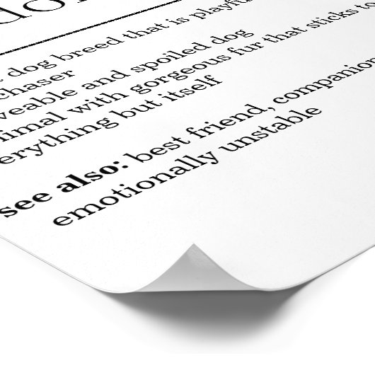 Poster Définition du Labrador (Coin)