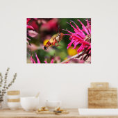 Poster Défrichement des colibris et baume des abeilles 2 (Cuisine)