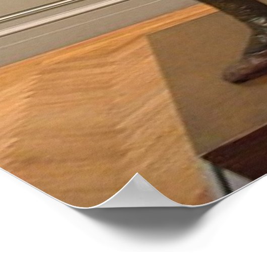 Poster Degas Dancer Sculpture (Coin)