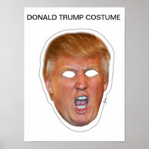 Poster Déguisement Donald Trump