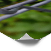 Poster dehors sous la pluie (Coin)