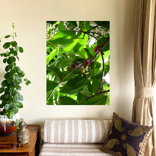 Poster Déjeuner à l'arbre