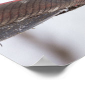 Poster Déjeuner cardinal féminin (Coin)