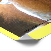 Poster Déjeuner Orangoutan Babies (Coin)