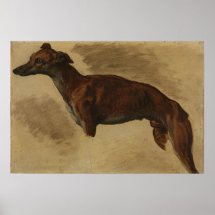 Poster Delacroix - Levrier 1859