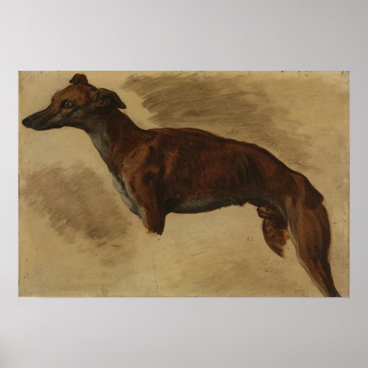 Poster Delacroix - Levrier 1859 (Devant)