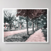 POSTER DELAND FLORIDA (Devant)