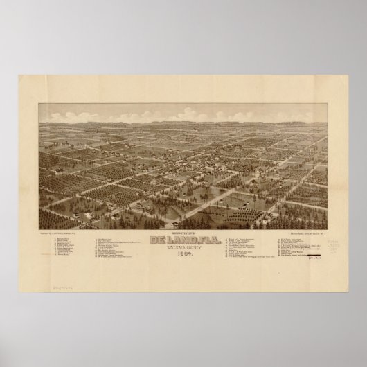 Poster DeLand Floride 1884 Antique carte panoramique (Devant)