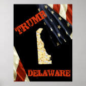 POSTER DELAWARE (Devant)