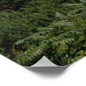 Poster Delaware River Water Gap. imprimer 0057 (Coin)